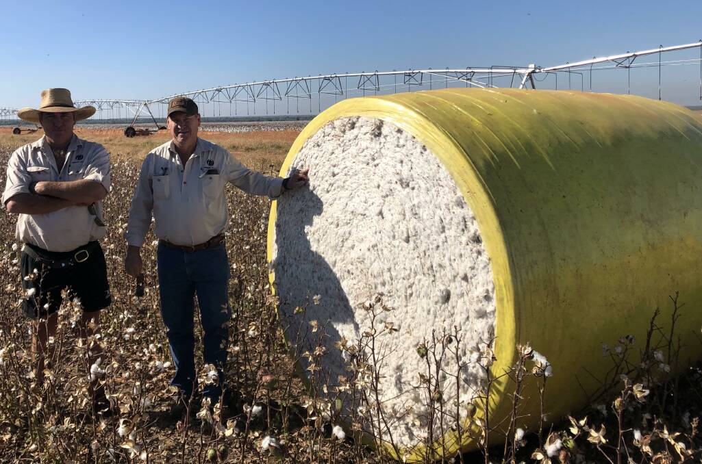 Northern Territory Cotton Growers Association president Bruce Connolly and Tipperary Group managing director, David Connolly in Tipperary crop. Photo supplied.
