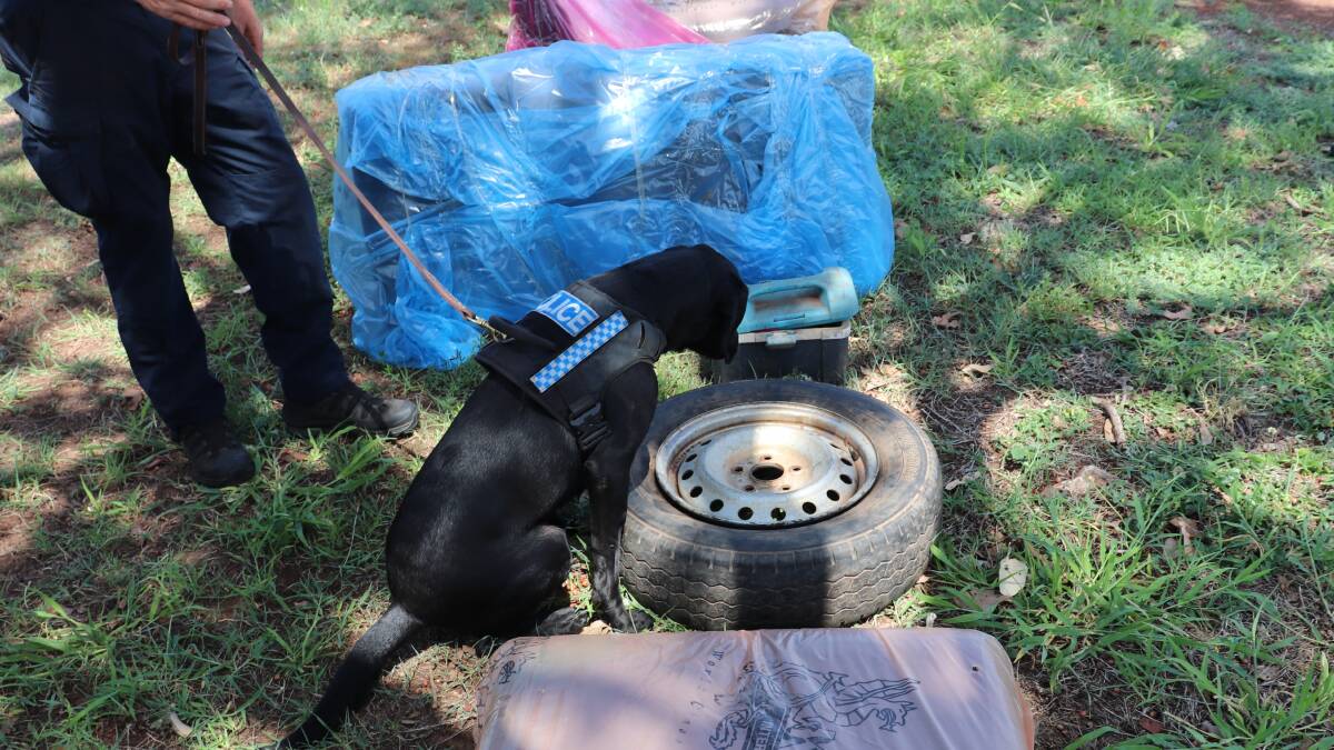 Drug detector dog Hugo allegedly led police to find cannabis hidden inside this spare tyre. Picture: NT Police.