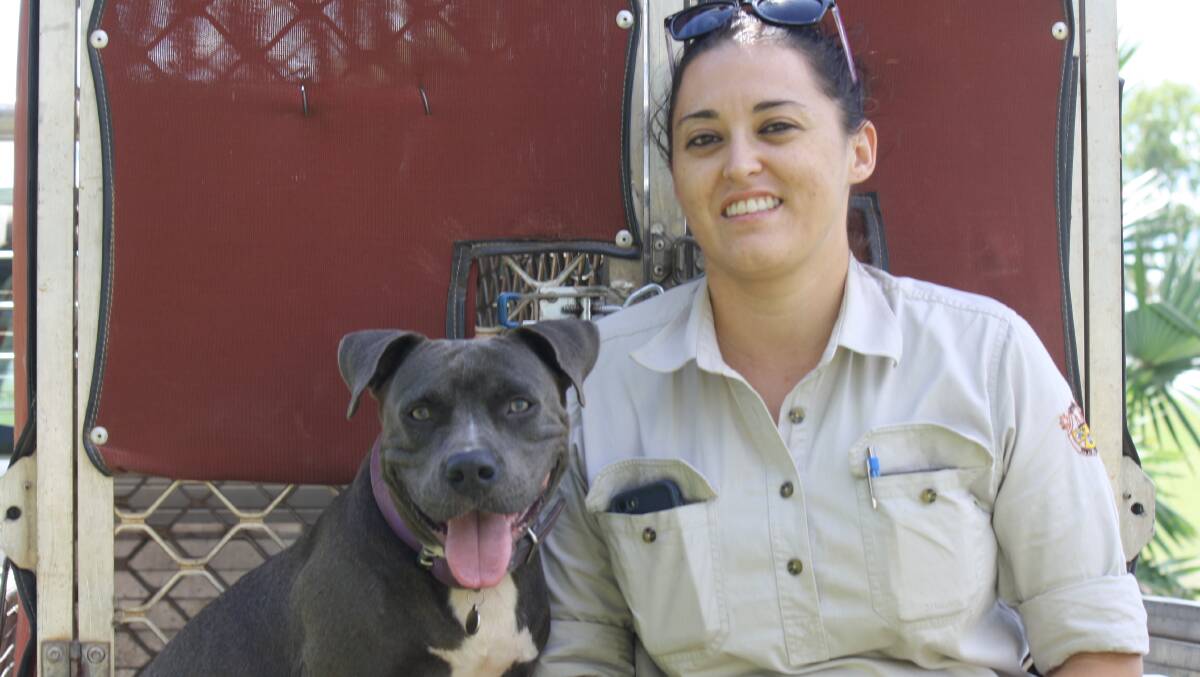 ON THE LOOKOUT: Katherine Town Council ranger Karmen Thomas and her dog Frankie says there are many wandering dogs in Katherine.