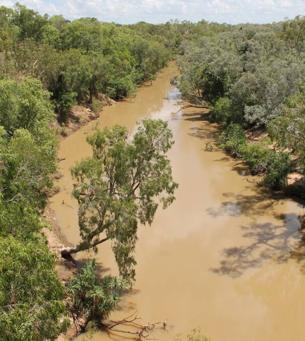 WHAT OFFICIALS FEAR MOST: A highly turbid Katherine River after the first rains of the wet season are also full of bacteria and not able to be used at Katherine's water treatment plant.