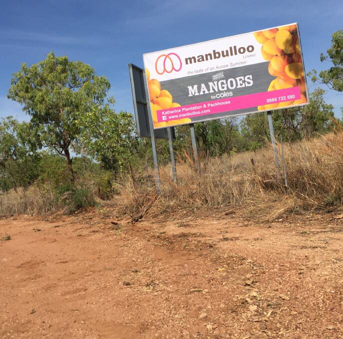 WEIRD DRIVEWAY: The (private) road to Manbulloo Mangoes surely must be the widest in the Territory, or at least the weirdest. Picture: Chris McLennan.