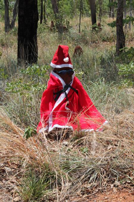 SILENT NIGHT: Is it Ant Claus we spy from the Stuart Highway.