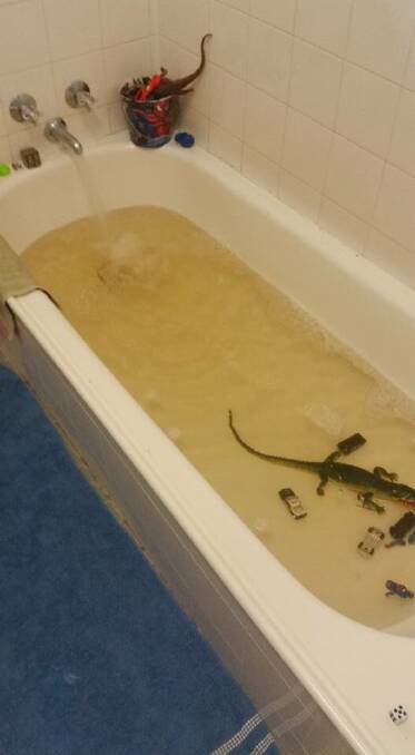 BATH REFUSAl: Murky bath waterint a Katherine home this week.  The crocodiles are just rubber bath toys. Picture: Shane George
