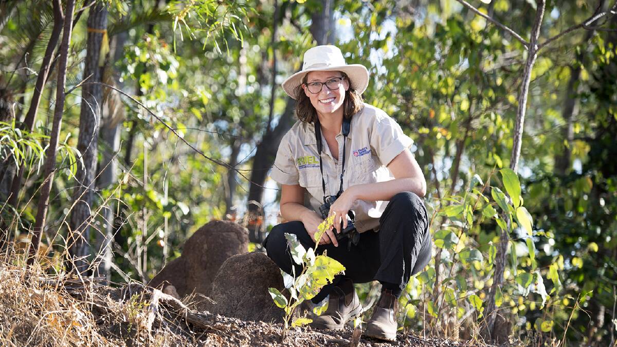 CDU researcher Dr Alyson Stobo-Wilson says fires and feral cats are causing a rapid decline in possum numbers across northern Australia. Picture: CDU.