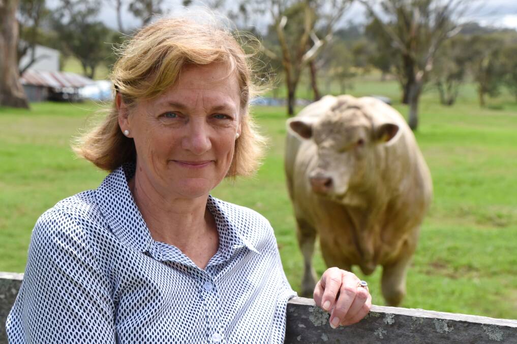 Sustainability Steering Group chairperson Prue Bondfield announces public consultation of the key areas to achieving sustainability in Australia's beef industry.
