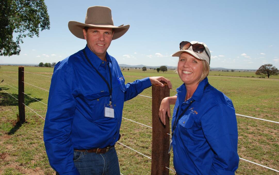 Tony and Sharyn Truelson manage the Hewitt’s Oakleigh aggregation of properties near Marlborough with three other full time staff and a 5000 head cattle herd. 