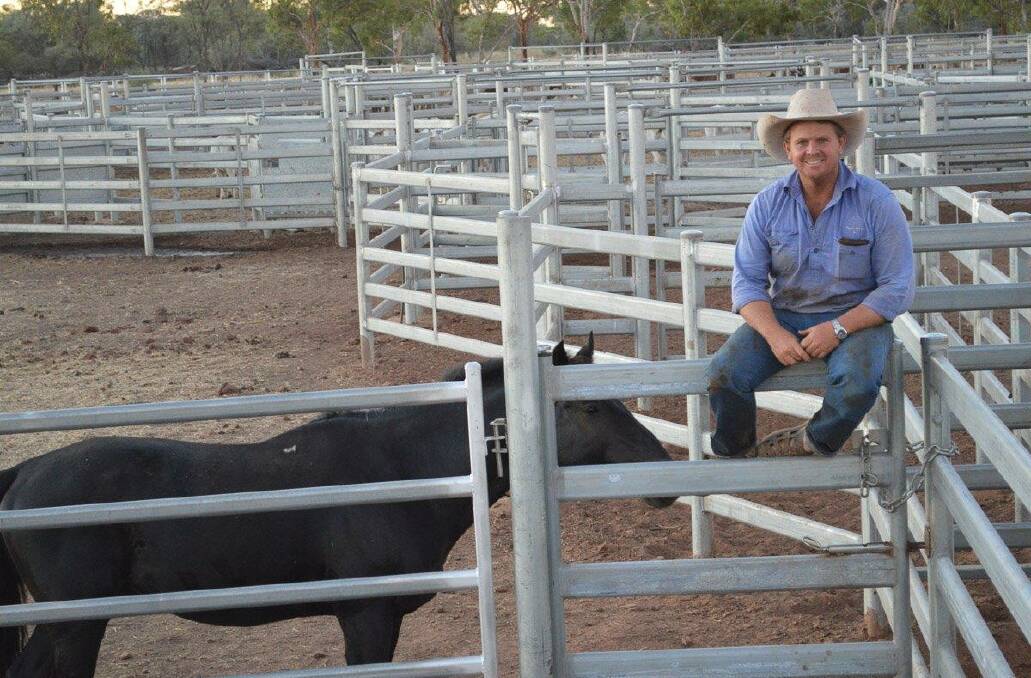 Great results: A smiling Brad Inglis sits atop the finished cattleyards at Sturt Plains which have markedly reduced labour costs within the business.