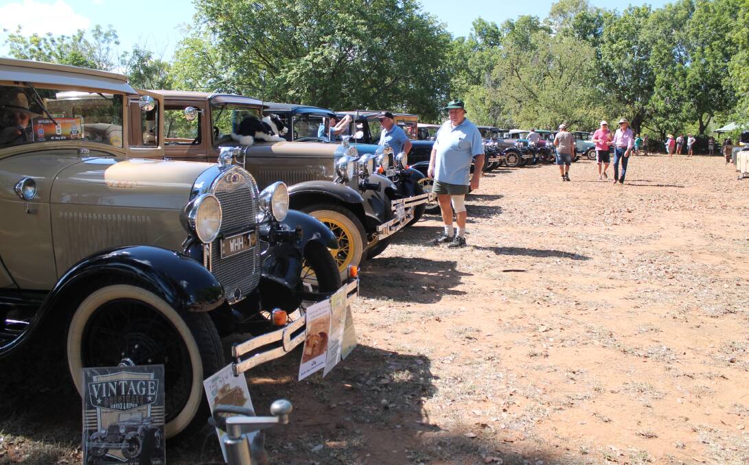 HISTORY ON SHOW: There were dozens of immaculate Model A Fords for motoring enthusiasts to check out at the Katherine Museum on May 22.