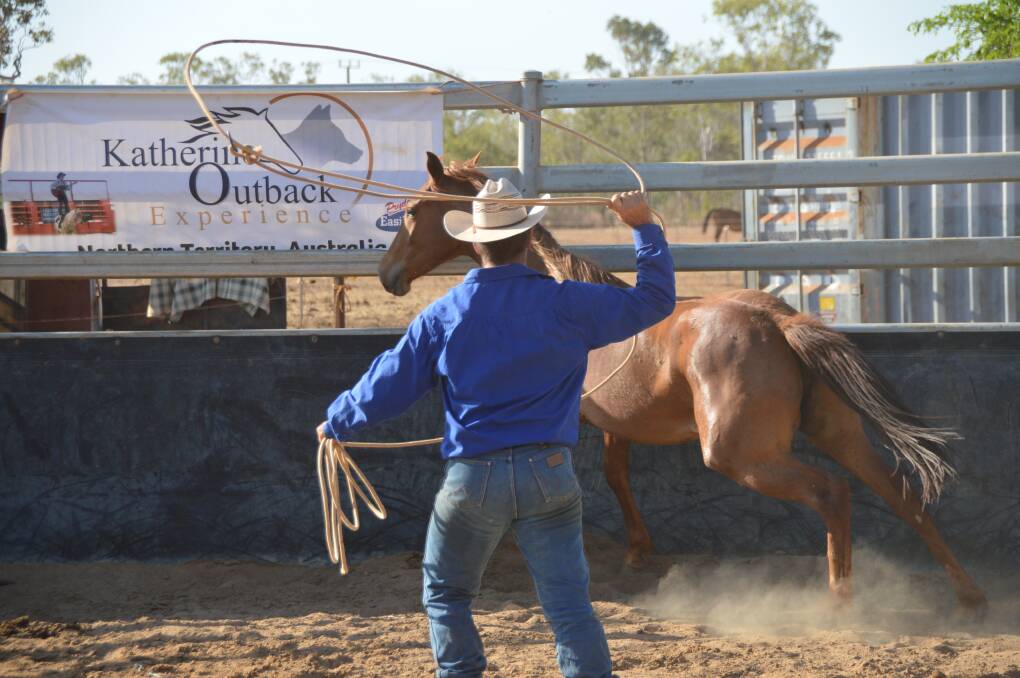 GRANDSTAND BOOST: Katherine Outback Experience operator Tom Curtain wows the crowd with a horse breaking demonstration on Friday. As part of a Territory government tourism infrastructure program, Mr Curtain has received $30,000 to build a grandstand that will allow visitors to get a better view of his unique performance.