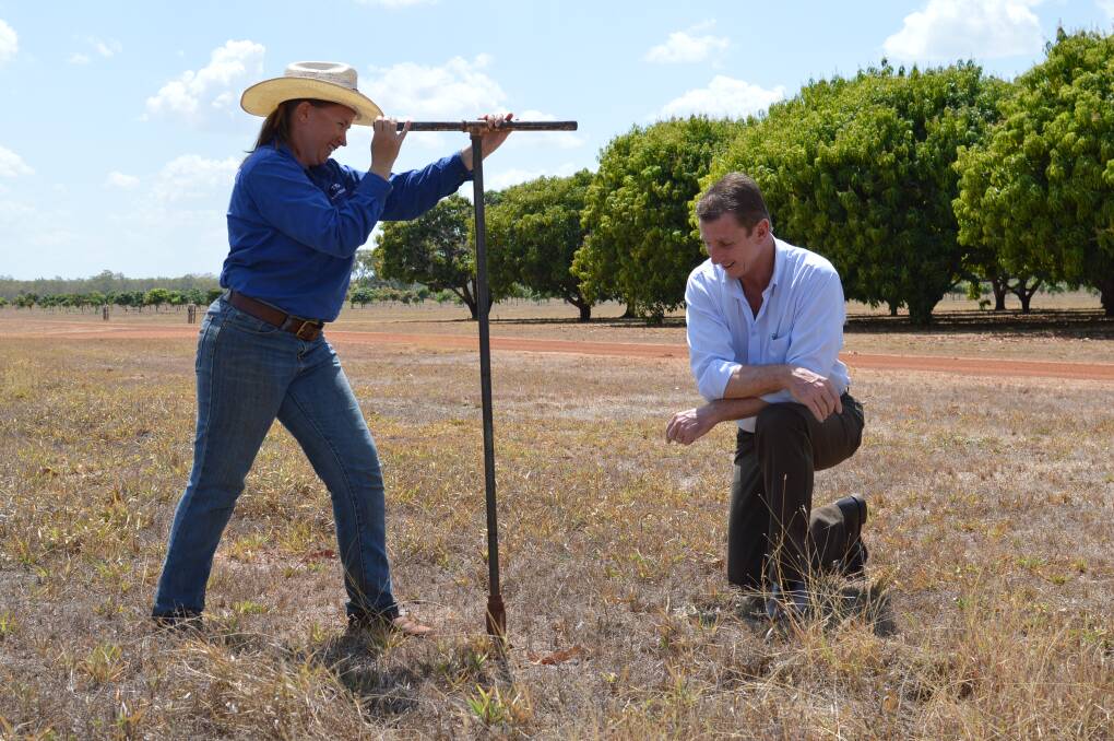 INDUSTRY FIGHTBACK: After announcing a $426,000 program to determine how long CGMMV lives in local soils, Primary Industry and Fisheries Minister Willem Westra van Holthe helps to collect a soil sample on August 31.