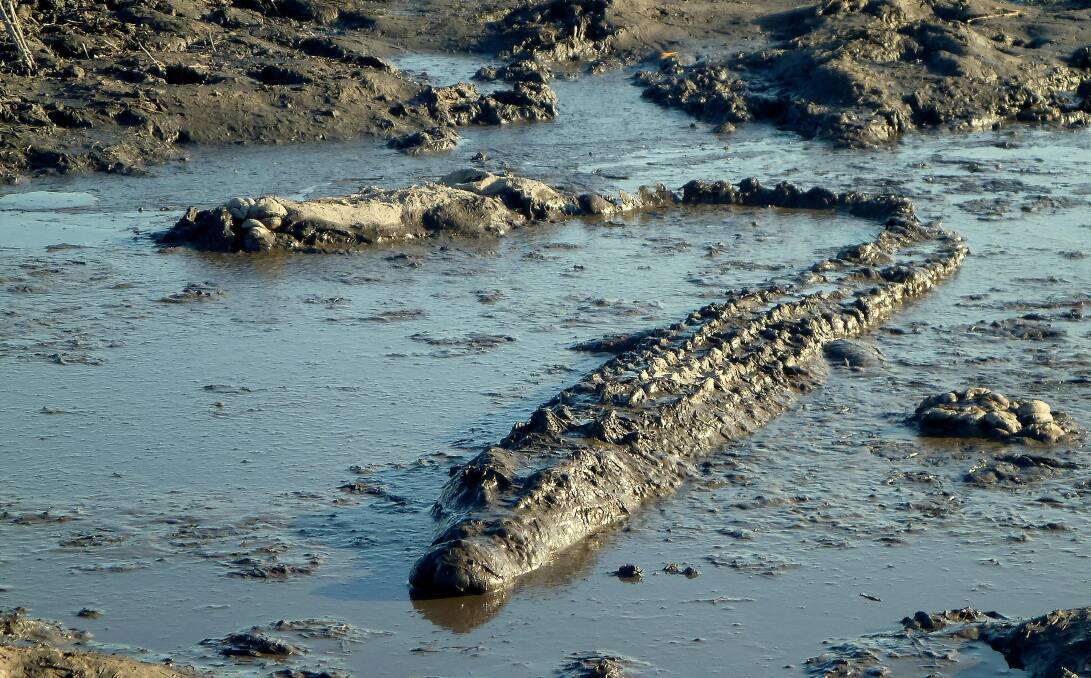 BE CROC WISE: In the Top End you should expect to find saltwater crocodiles in any waterway at any time. They are perfectly camouflaged, making them almost invisible against almost any backdrop. 