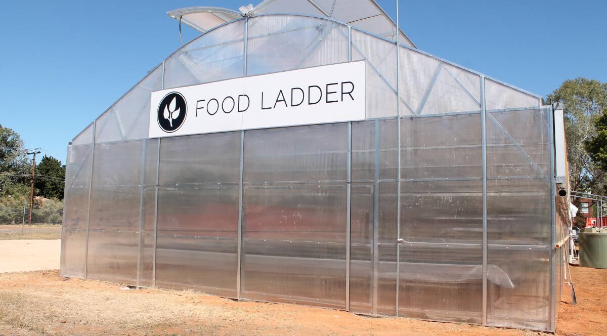 MORNING TEA: Katherine Food Ladder community garden will be opening its doors to show off what it is doing with a morning tea this Monday.