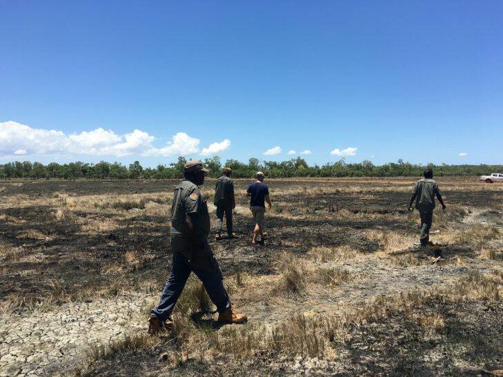 Rangers crossing some savannah land burned during the recent dry season in Arafura Swamp. Photo: Peter Hannam