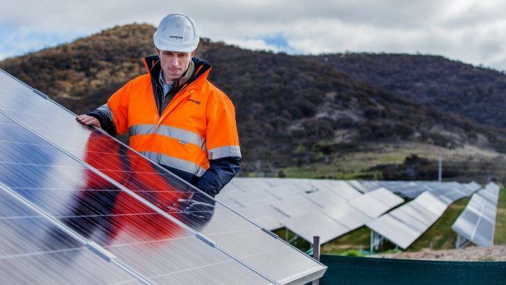 Site manager Nick Wain at the Royalla Solar Farm, near Canberra. Photo: Matt Bedford