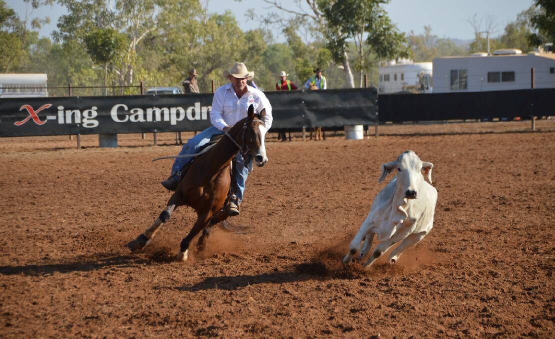 William Tapp in action during the campdraft.