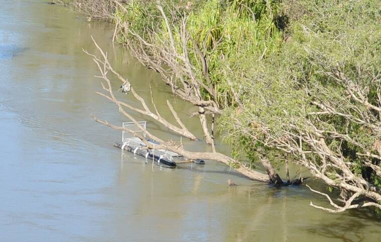 VISIBLE WARNING: Parks and Wildlife Commission NT rangers say this Katherine River crocodile trap, located adjacent to the old railway bridge, should be a visible reminder of why it is critical to Be Crocwise in the Top End.