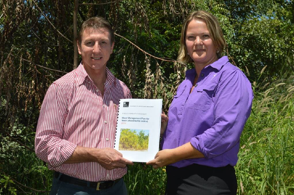 NEEM BATTLE: Primary Industry and Fisheries Minister Willem Westra van Holthe discusses the neem management draft plan with Northern Territory weed management planner Susan King near a patch of the declared weed in Katherine on March 20.