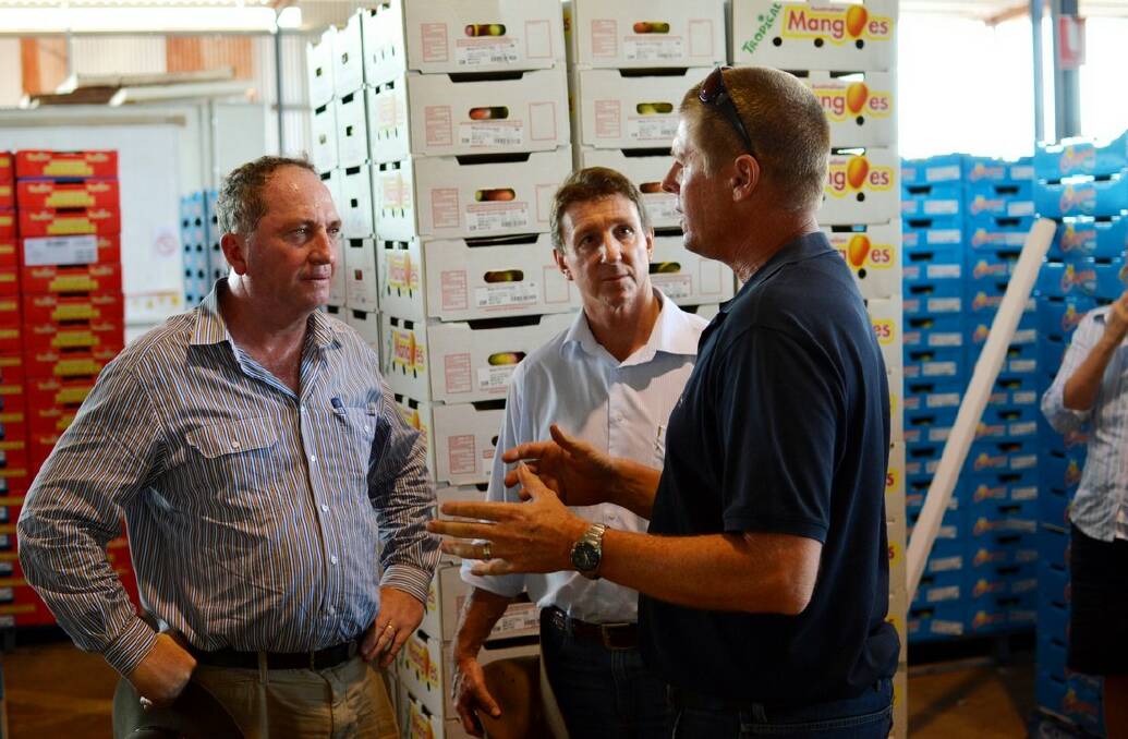 Federal Agriculture Minister Barnaby Joyce gets the ins and outs of mango production in the Top End during a tour of Katherine on November 21.
