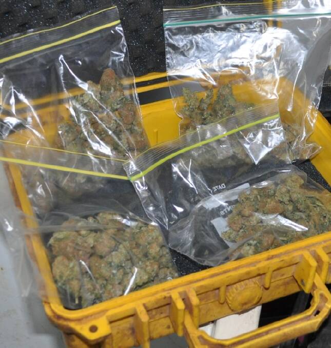 The trafficable quantity of cannabis police found during the raid.