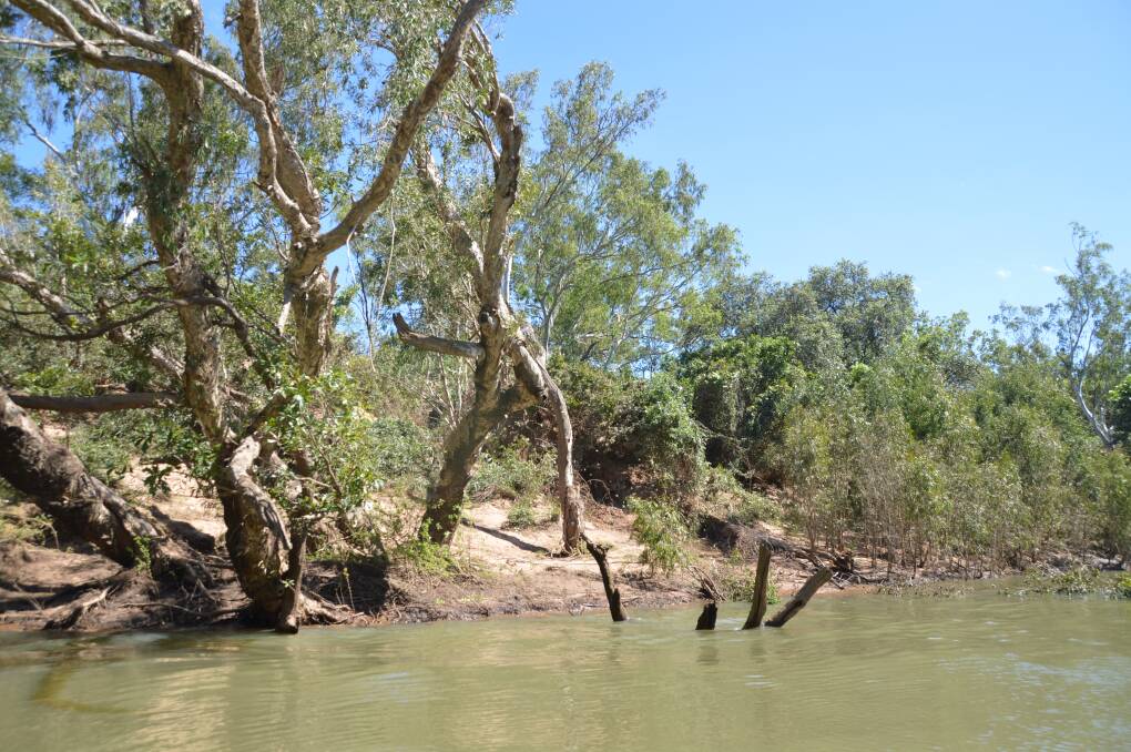 WATER AGENDA: The Northern Territory government has announced it will conduct a survey of the Tindall Aquifer in a bid to fill "important knowledge gaps" about the vital groundwater source.