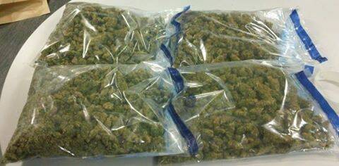 CANNABIS CARGO: Mataranka police discovered almost two kilograms of cannabis during a random traffic stop on the Stuart Highway at the weekend. Photo: NORTHERN TERRITORY POLICE
