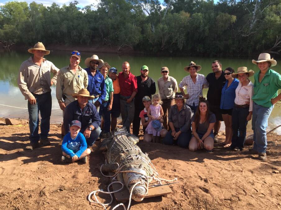 GOT HIM: Rangers and Victoria River Downs workers inspect the 3.75-metre “problem croc”.