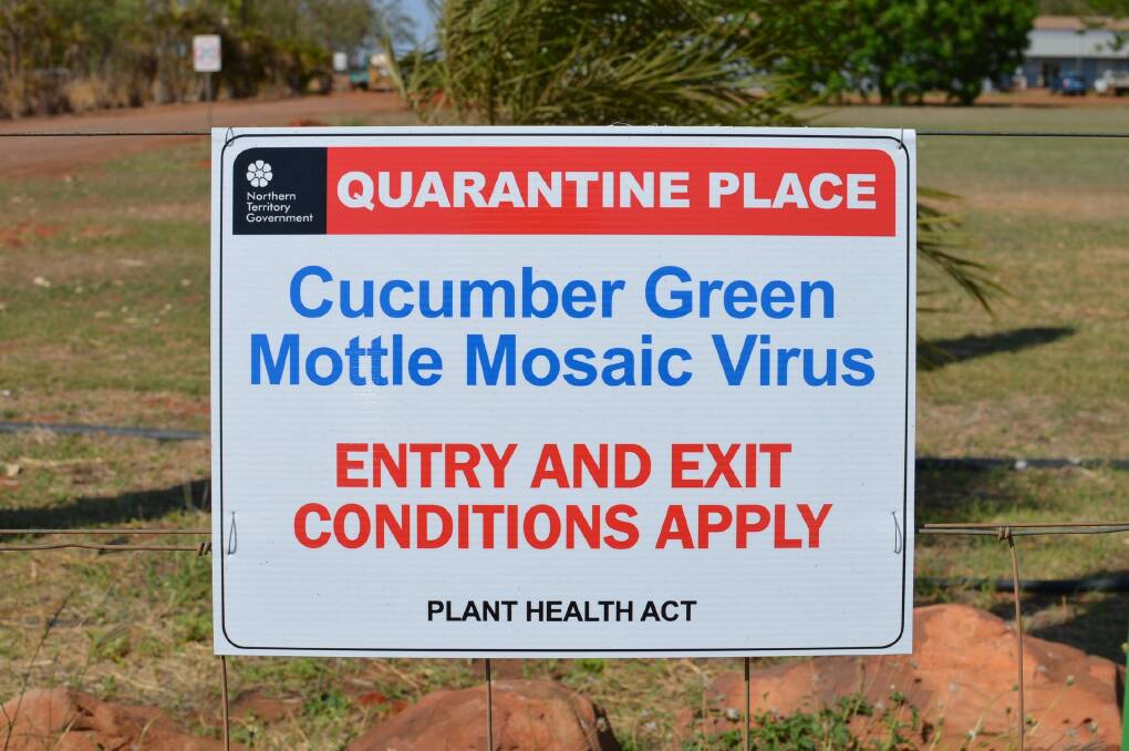 AREA EXPANDED: Two new properties in the Katherine region have tested positive for cucumber green mottle mosaic virus, bringing the total number of Northern Territory properties quarantined as a result of the virus to 12. 