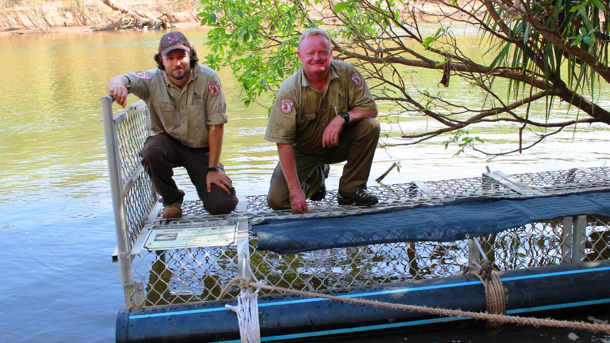 GALLERY - Dog-eating freshwater croc caught