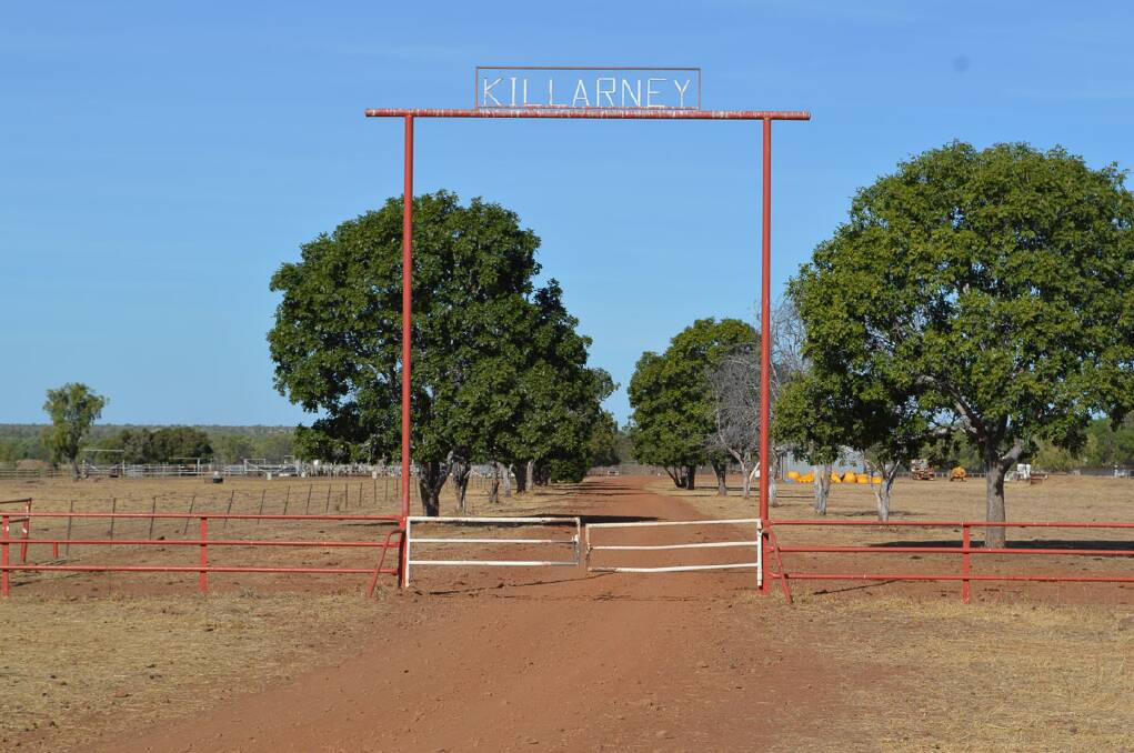 Killarney Cattle Station. Picture: Supplied. 