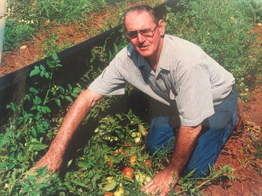 THROW BACK: An old photo of Mr Chandler in his tomato patch.
