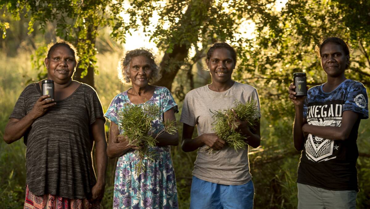 TASTY TEA: Gulbarn Tea is produced in Miniyeri, about 370km west of Katherine. Picture: supplied. 