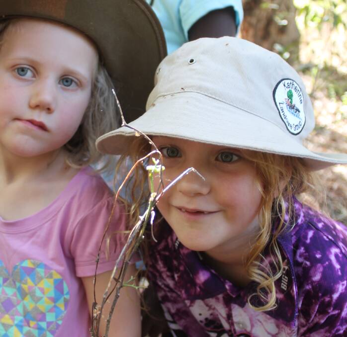 FOUND YOU: Six-year-old Thali Hayes was able to spot a baby caterpillar hanging off a branch in the bush. 
