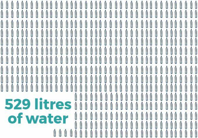 Katherine uses an average of 529 litres of water per person per day.