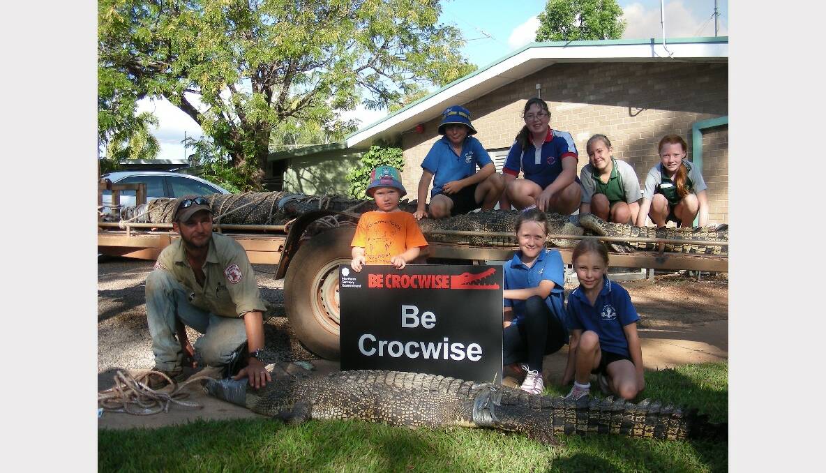 Crocodiles in the Katherine region.