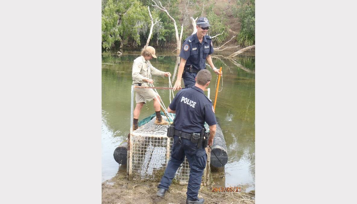 A huge 4.58m saltwater crocodile, believed to be between 60 to 80 years old, was captured at Bulla Camp on the East Baines River in the Victoria River District on May 21.  