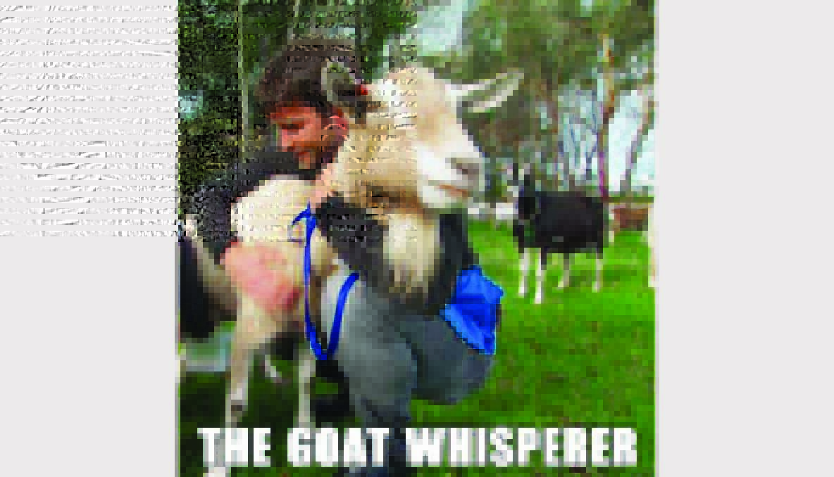 Our goat whispering Lynton.