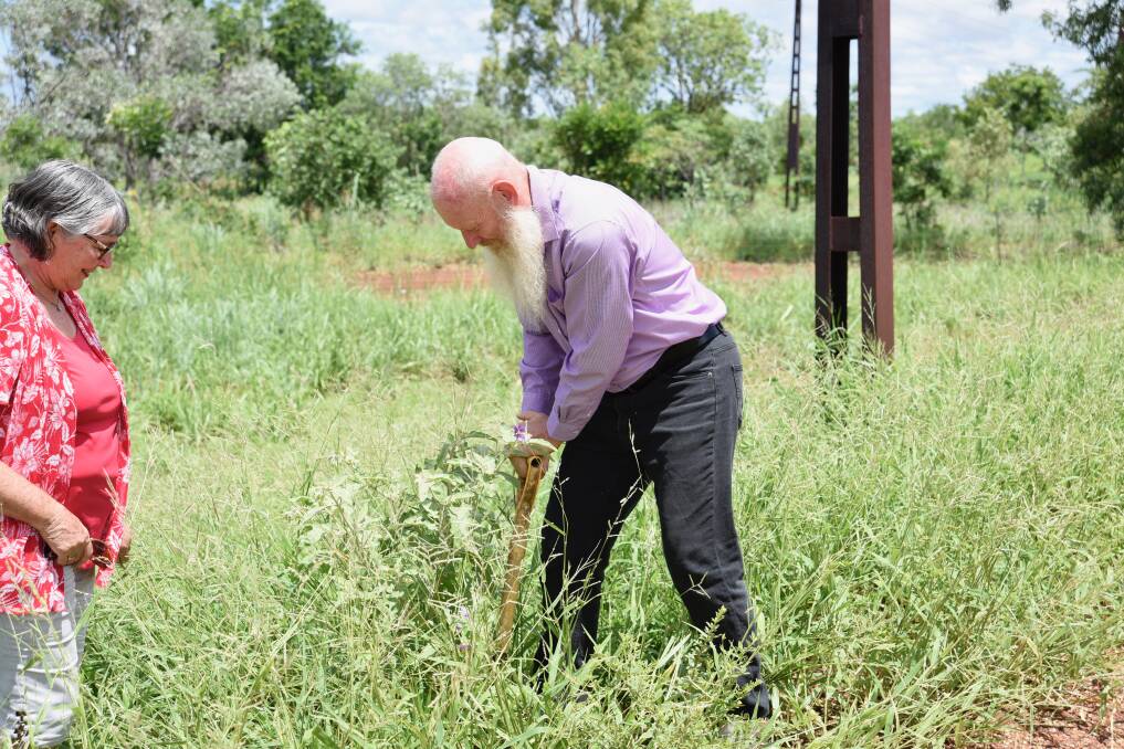 Mayor Lis Clark and Alderman Peter Gazey have been on a mission to rid Katherine of a non-native plant, beleived to have been carried in on cattle trucks from Queensland. Picture: Roxanne Fitzgerald. 