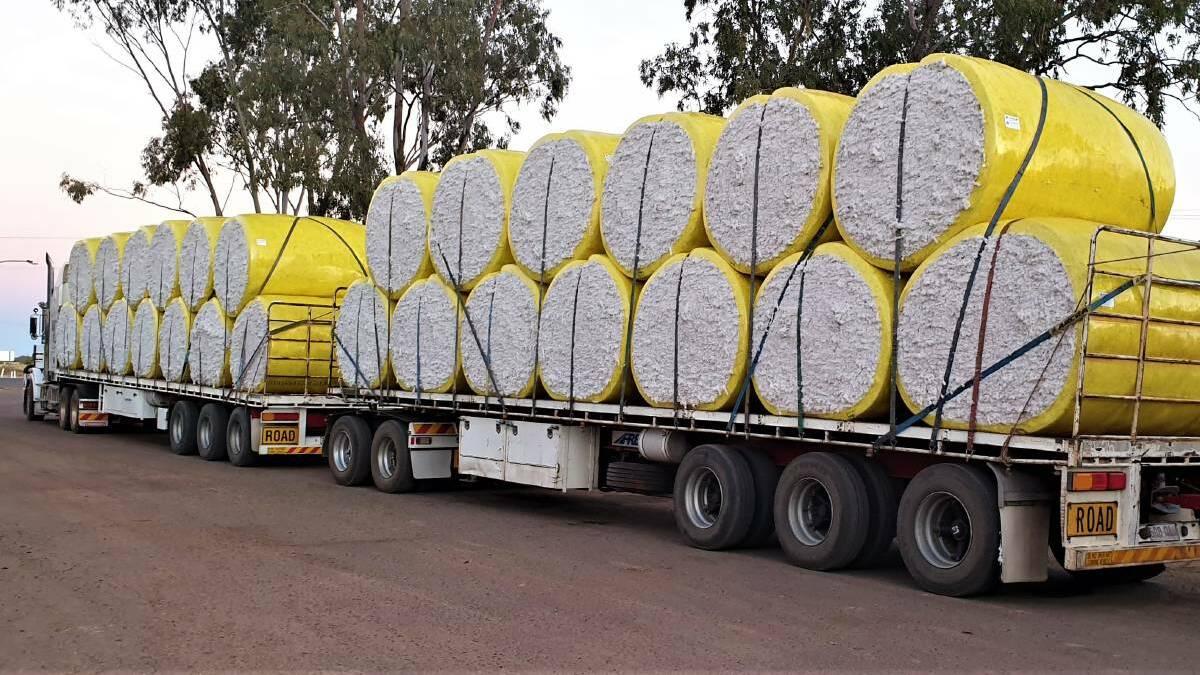 The cotton industry has its eye on developing a gin 10km from the centre of Katherine