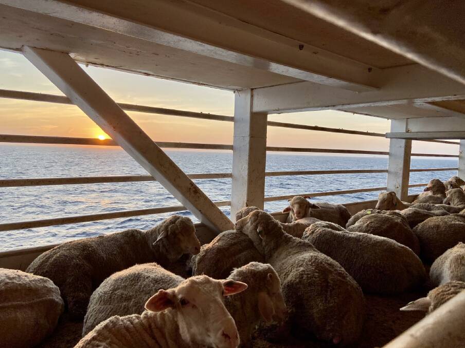 WA live export industry leaders have hit back at false and misleading information that has recently been spread about the trade.