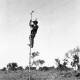 A linesman on the Overland Telegraph Line.