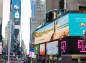 Come and say g'day: Tourism Australia's latest campaign at Times Square in New York featuring kangaroos at Crowdy Bay National Park. Image: Press Association.