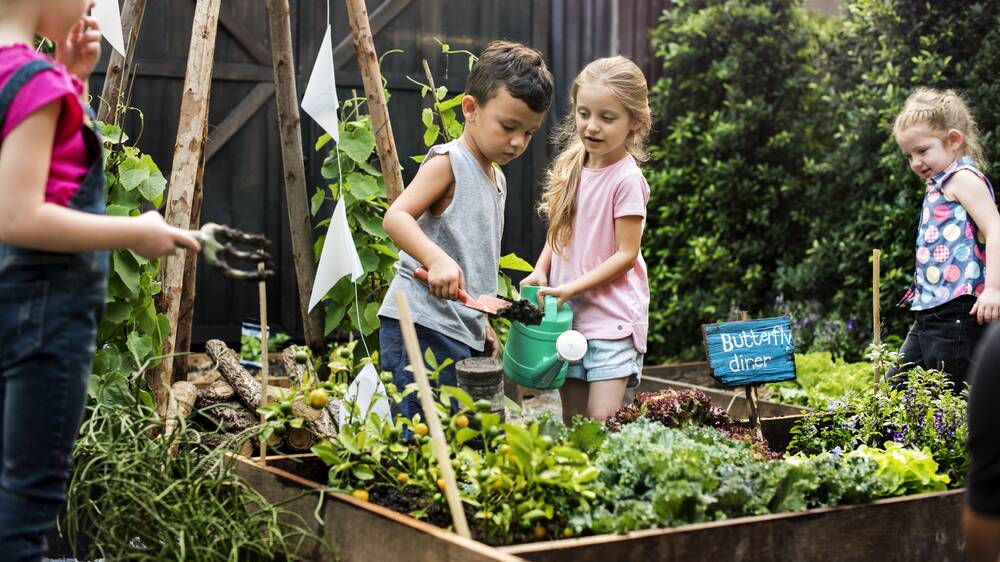 GET KIDS HEALTHY: Access to gardens and fresh food get's kids outdoors and living healthier lives. Photo: 