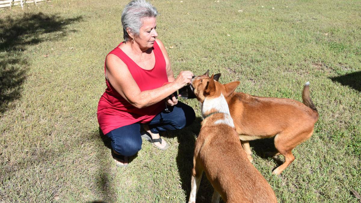 FED UP: Lori Martin, a semi-retired Katherine resident of about 30 years, says she has been dealing with Katherine Town Council for one year, and is not getting anywhere closer to an official dog park. 