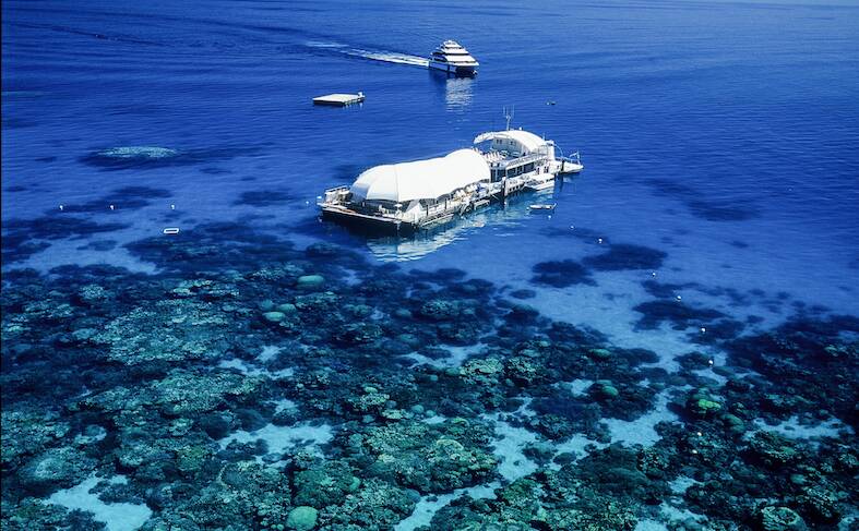 DOORSTEP: The Great Barrier Reef, also named one of the 'Seven Wonders of Australia', is just a short plane ride away. 