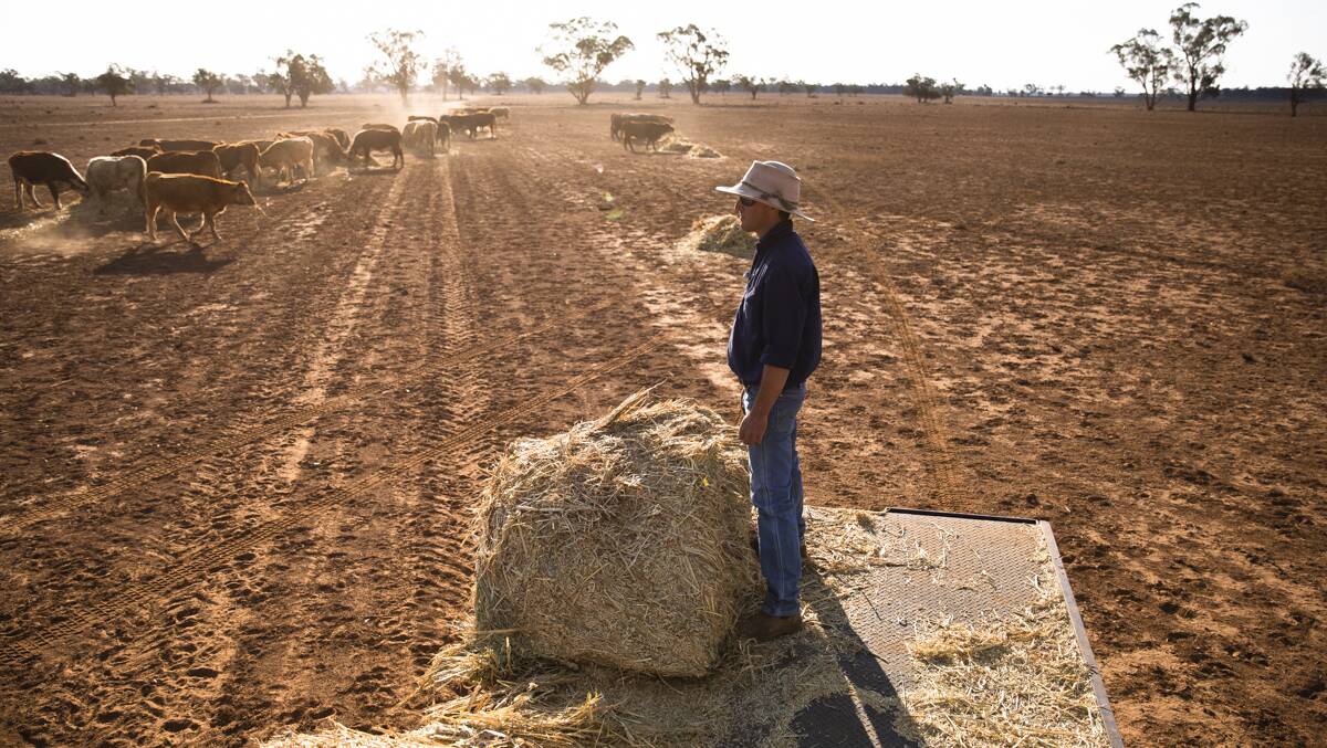 Farmers are struggling through some of the worst drought conditions in living memory. Picture: Krystle Wright. 