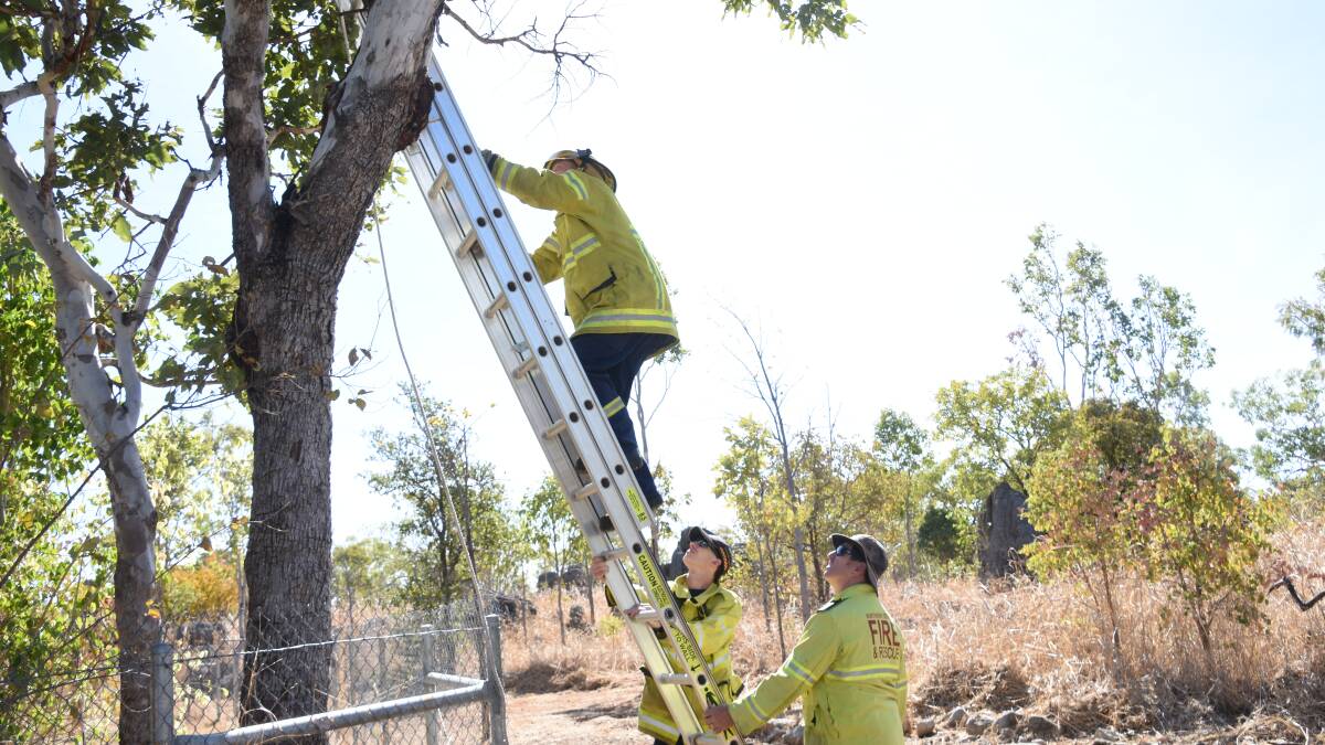 Cat stuck in tree, rescued by Katherine firefighters