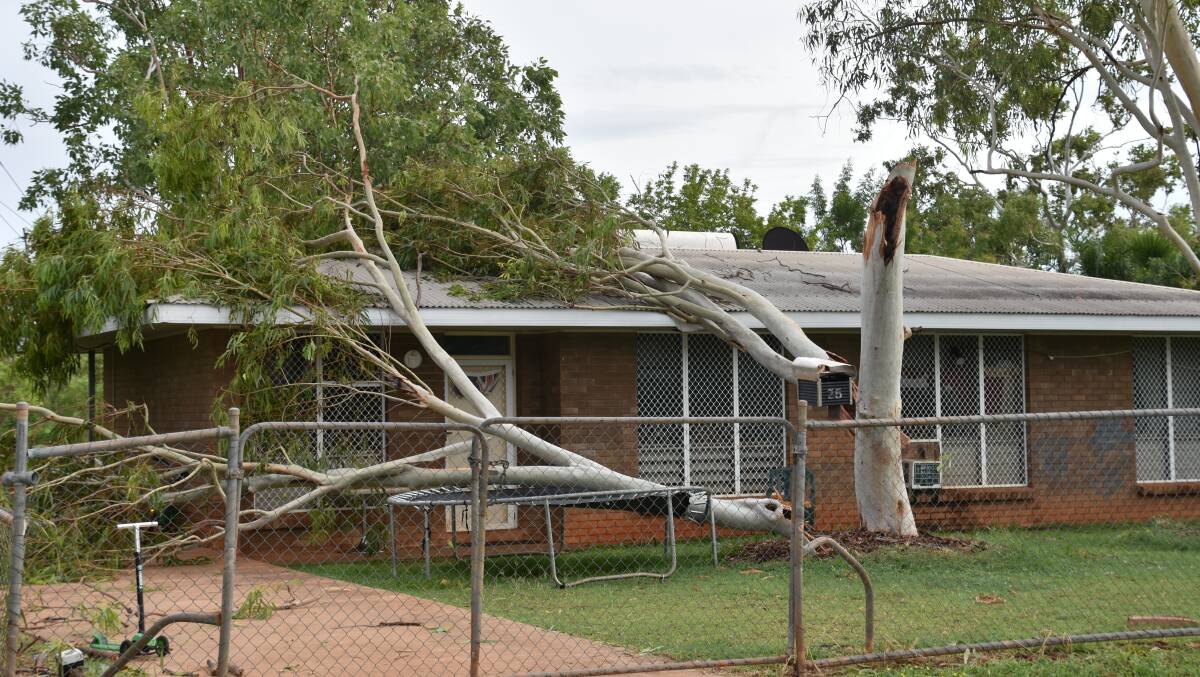 A house on Holtze Crescent is damaged from a fallen tree. 