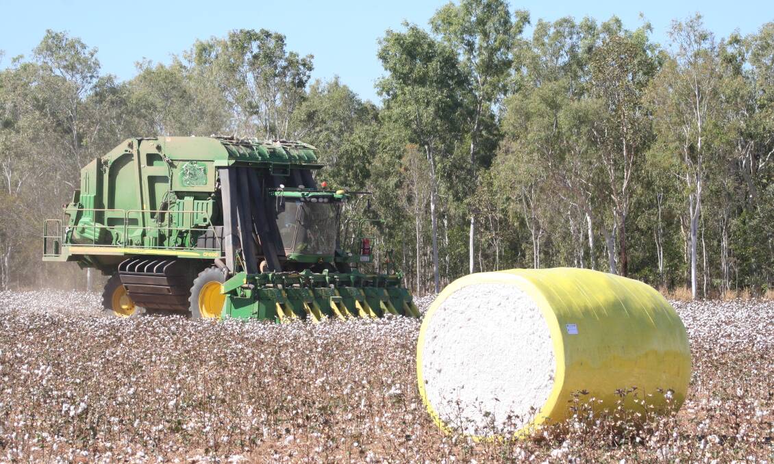 It took one day to pick the 23 hectares of cotton. Picture: Supplied. 