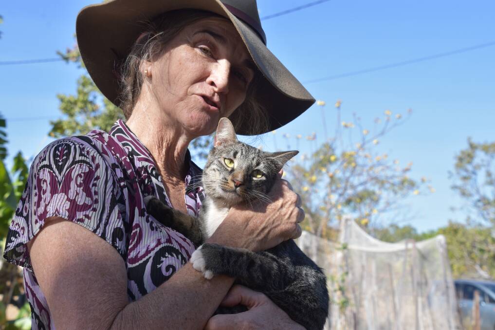 Moira McCreesh found the cat in the tree early Tuesday morning and had been waiting patiently for it to climb down. When it didn't she called Katherine firefighters. 
