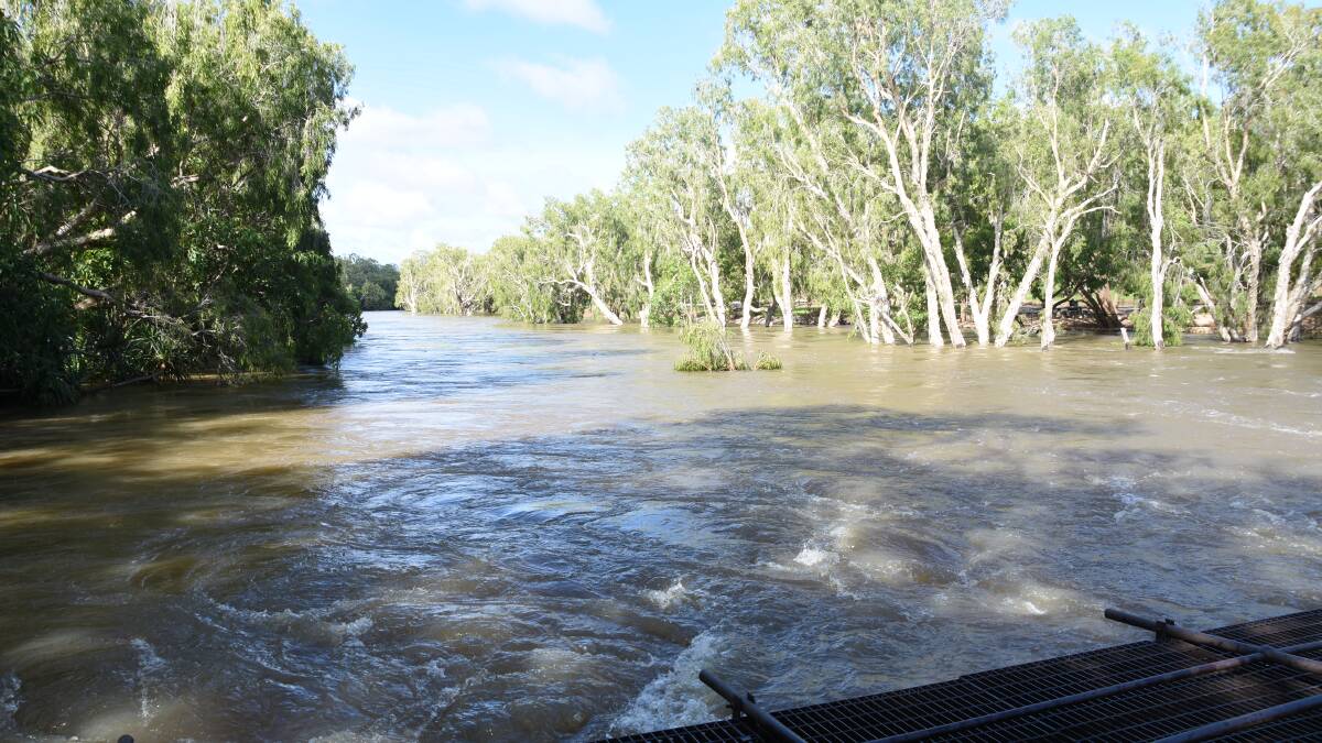 The Katherine river is surging and is about to overflow the Low Level Bridge. 